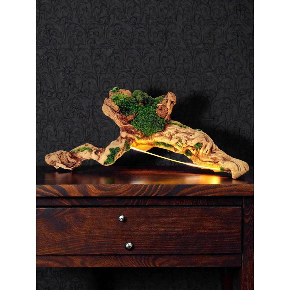 Organic Modern Driftwood Table Lamp Sculptural Wood Lighting